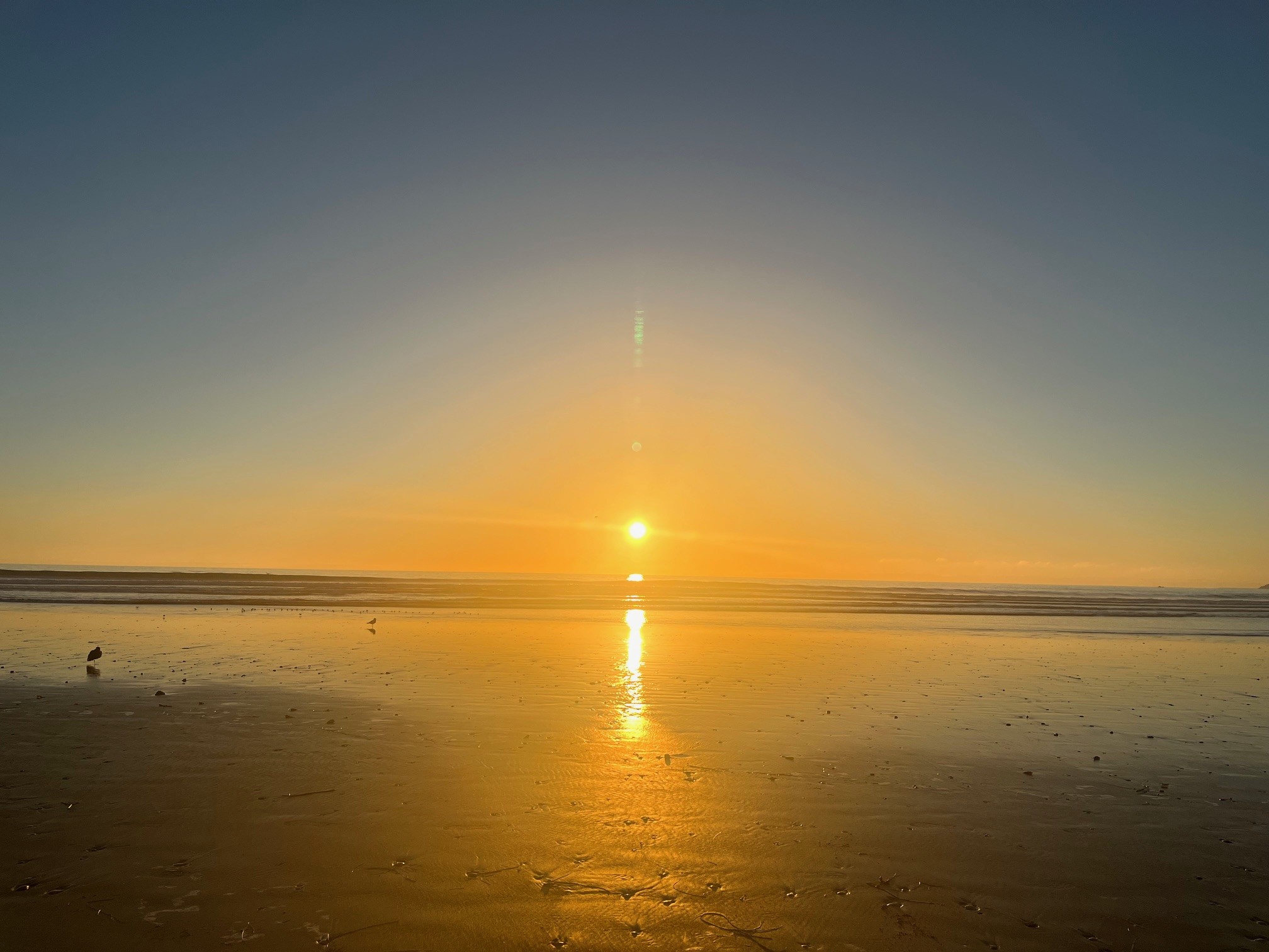 Pismo Sunset